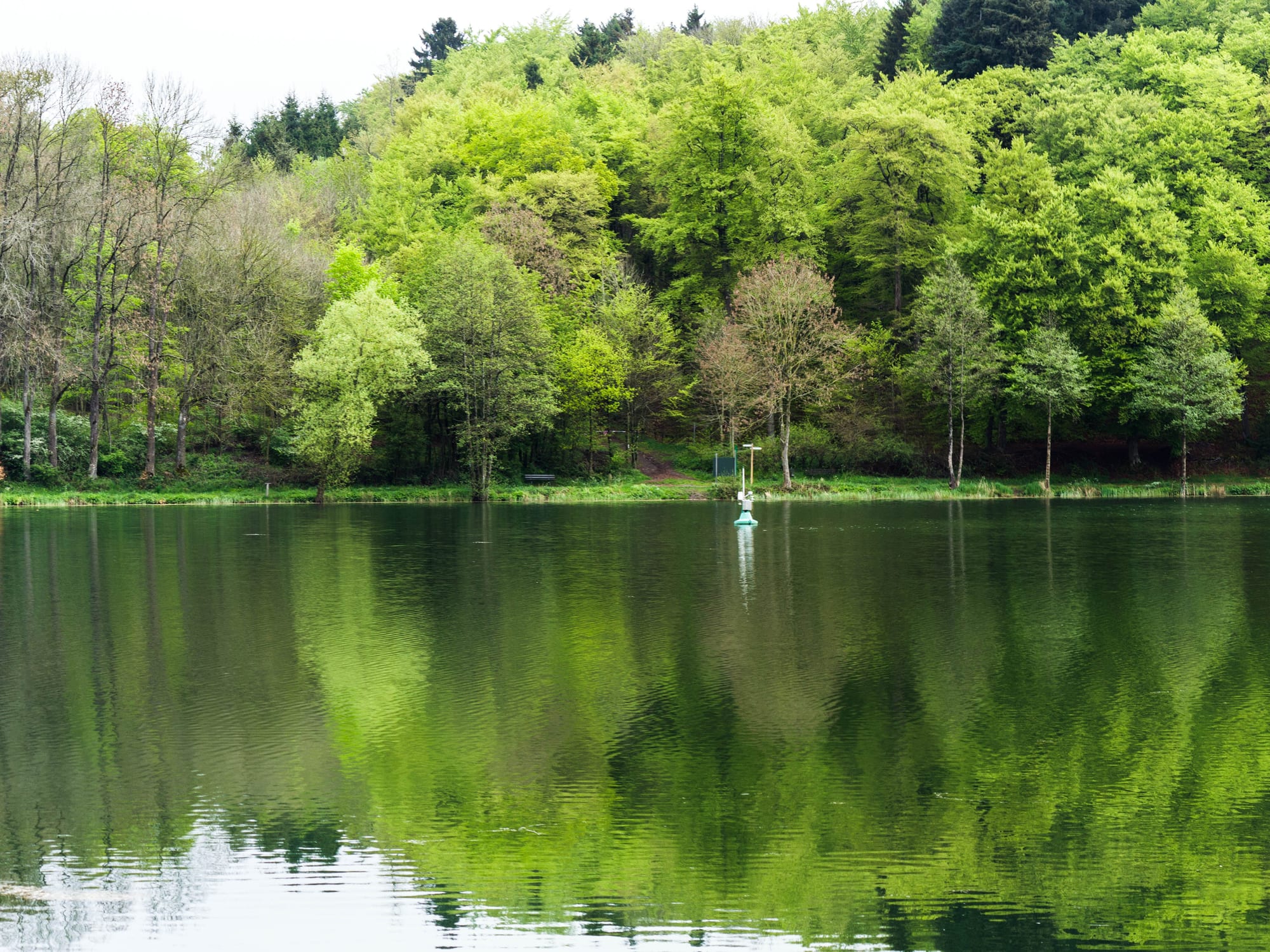 Holzmaar in der Vulkaneifel mit Spiegelung im Wasser