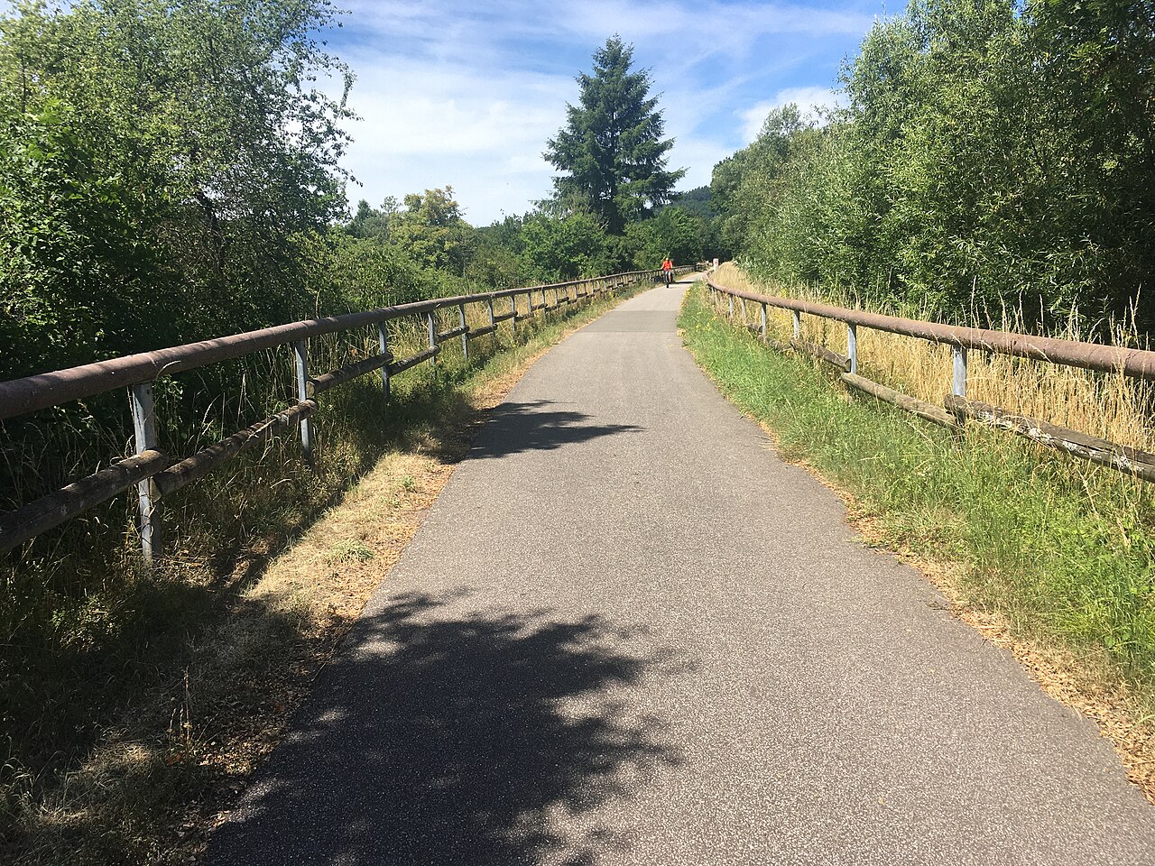Der asphaltierte Maare-Mosel-Radweg auf der alten Bahntrasse, eine Radfahrerin in der Ferne